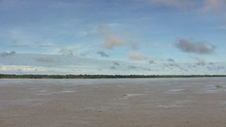 ブラジル/アマゾン川流域