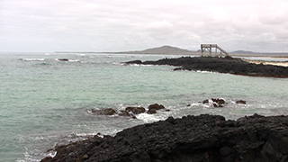 エクアドル/ガラパゴス諸島/イサベラ島