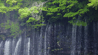 日本/静岡/白糸の滝