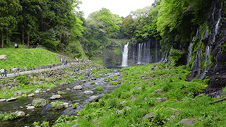 日本/静岡/白糸の滝