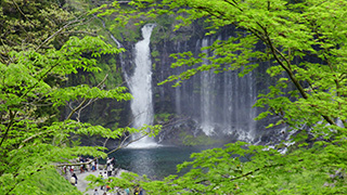 日本/静岡/白糸の滝