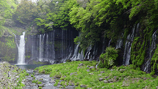 日本/静岡/白糸の滝