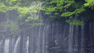 日本/静岡/白糸の滝