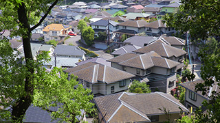 森から見える住宅地