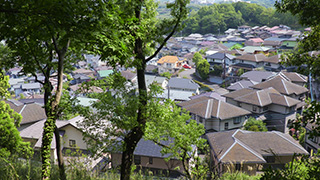 森から見える住宅地