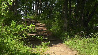 登山道