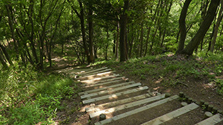 登山道