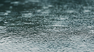 水たまりに降る雨