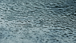 水たまりに降る雨