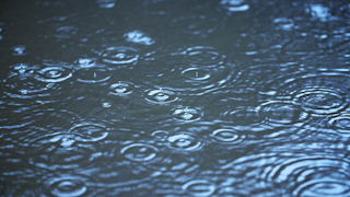 水たまりに降る雨