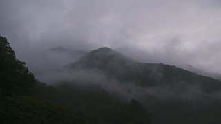 早朝の山の霧