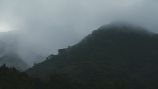 早朝の山の霧