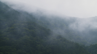 早朝の山の霧