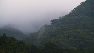 早朝の山の霧
