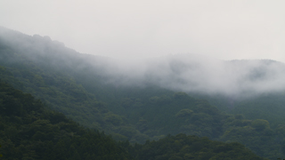 早朝の山の霧