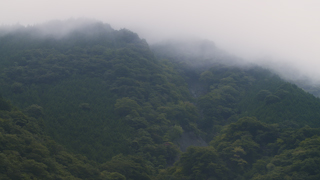 早朝の山の霧