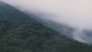 早朝の山の霧