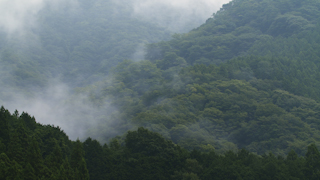 早朝の山の霧