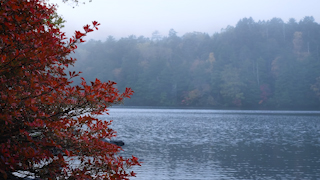 日本/長野/白駒池