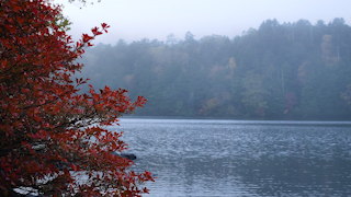 日本/長野/白駒池