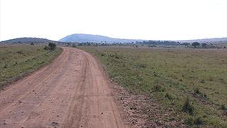 ケニア/マサイマラ国立保護区
