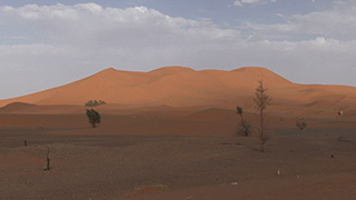 モロッコ/サハラ砂漠