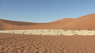 ナミビア/ナミブ砂漠